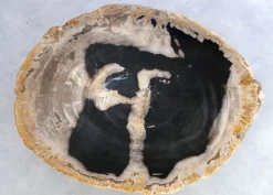 Tische|KARE Design Beistelltisch Alpha Versteinertes Holz