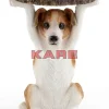 Tische|KARE Design Beistelltisch Animal Mr Jack O33Cm