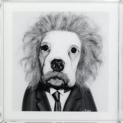 Bilder|KARE Design Bild Frame Mirror Smart Dog 60X60