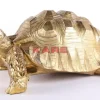 Deko & Geschenkartikel|KARE Design Deko Figur Turtle Gold Gros