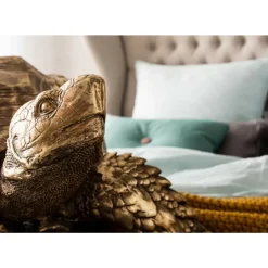 Deko & Geschenkartikel|KARE Design Deko Figur Turtle Gold Gros
