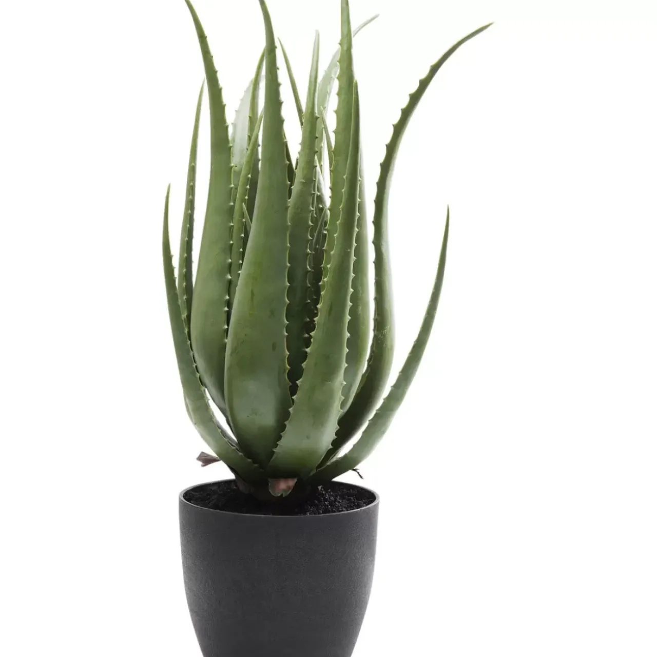 Deko & Geschenkartikel|KARE Design Deko Pflanze Aloe 69Cm