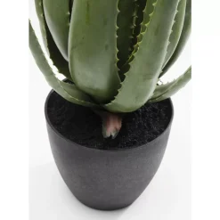 Deko & Geschenkartikel|KARE Design Deko Pflanze Aloe 69Cm