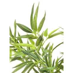 Deko & Geschenkartikel|KARE Design Deko Pflanze Bamboo Tree 200Cm