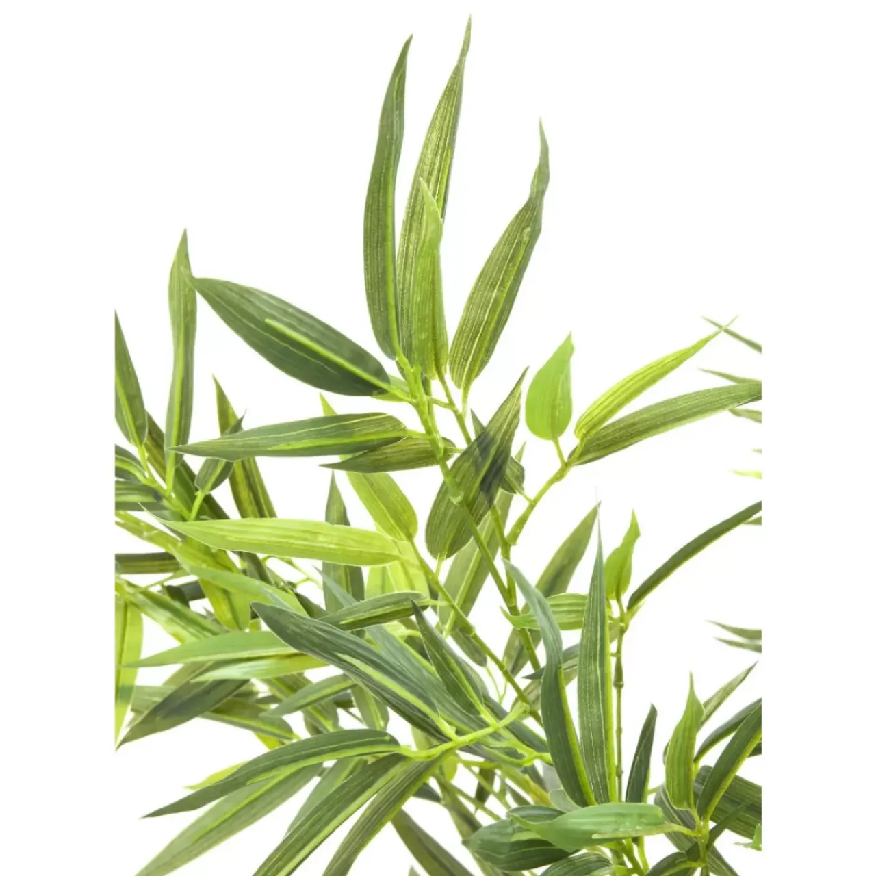 Deko & Geschenkartikel|KARE Design Deko Pflanze Bamboo Tree 200Cm