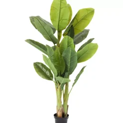 Deko & Geschenkartikel|KARE Design Deko Pflanze Banana Tree 180Cm