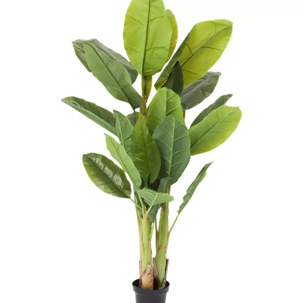 Deko & Geschenkartikel|KARE Design Deko Pflanze Banana Tree 180Cm