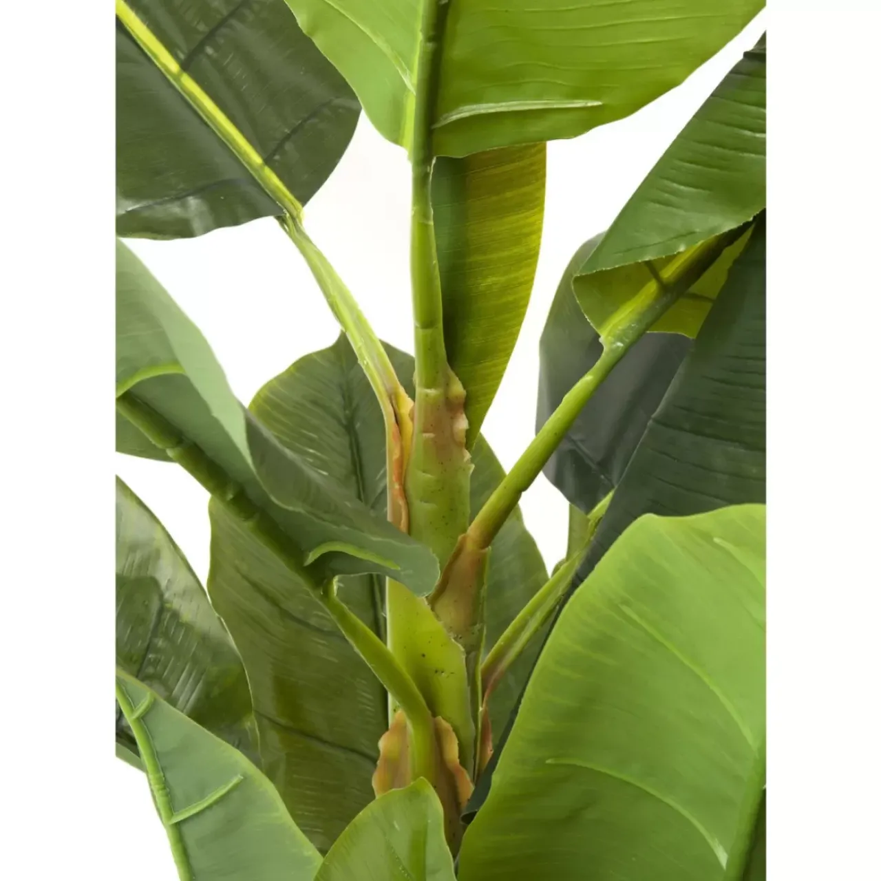 Deko & Geschenkartikel|KARE Design Deko Pflanze Banana Tree 180Cm