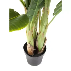 Deko & Geschenkartikel|KARE Design Deko Pflanze Banana Tree 180Cm
