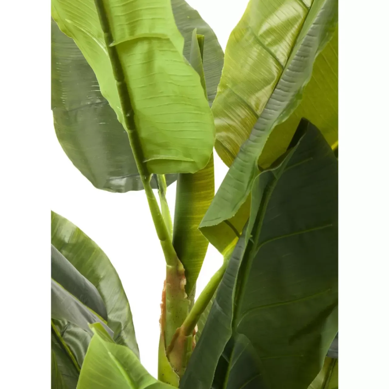 Deko & Geschenkartikel|KARE Design Deko Pflanze Banana Tree 180Cm