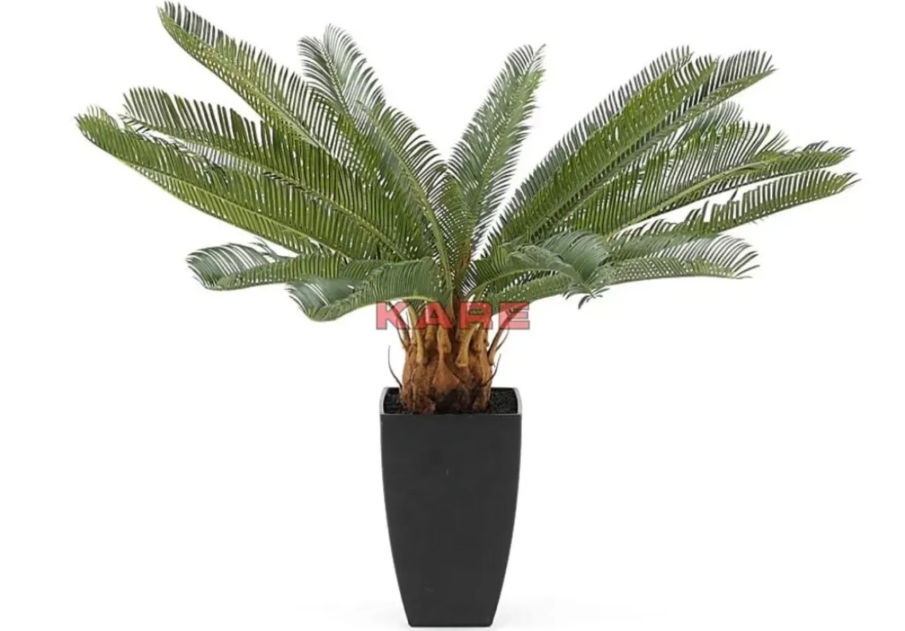 Deko & Geschenkartikel|KARE Design Deko Pflanze Cycas Tree 78Cm