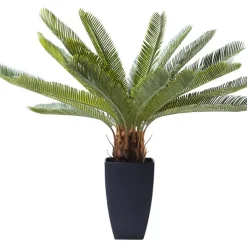 Deko & Geschenkartikel|KARE Design Deko Pflanze Cycas Tree 78Cm