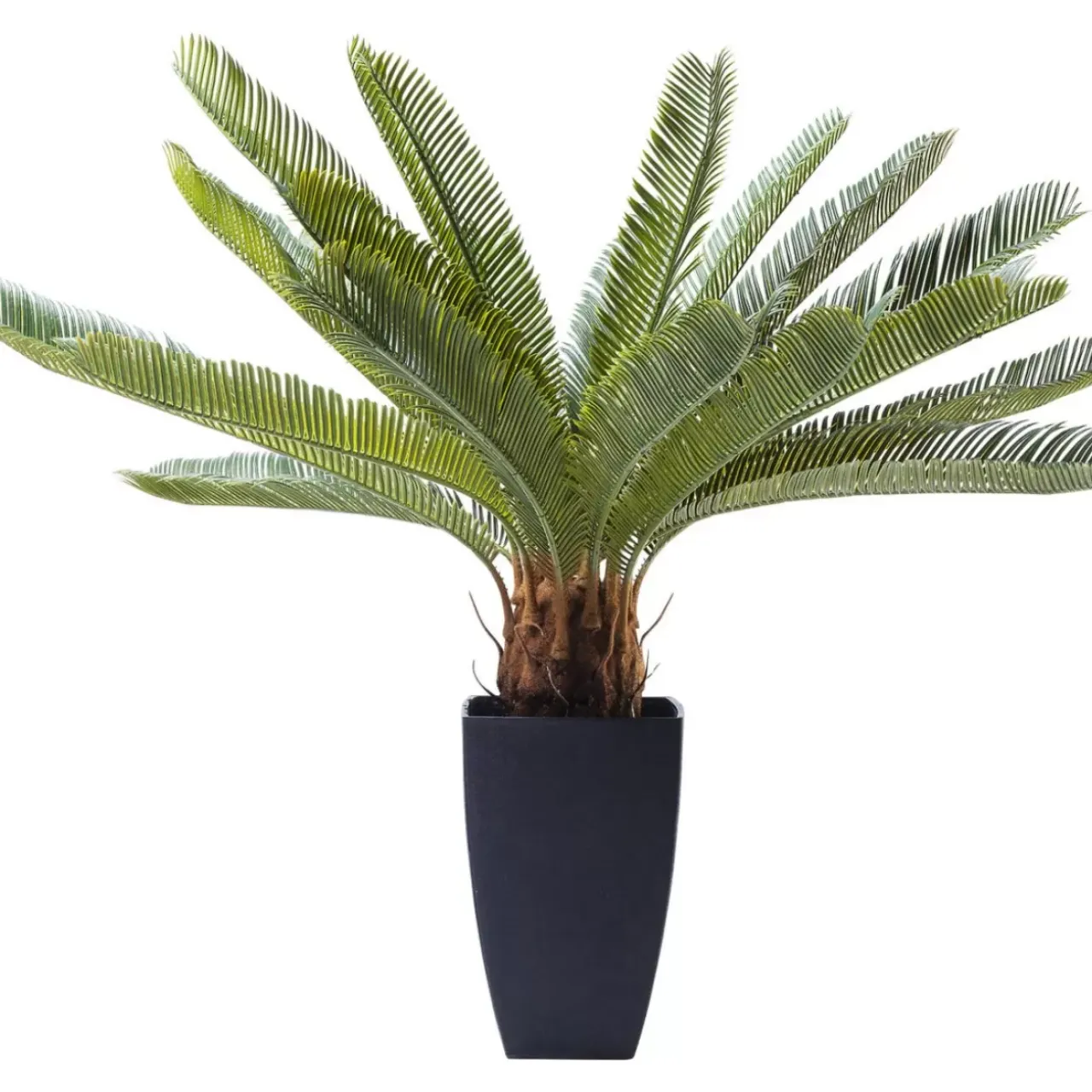 Deko & Geschenkartikel|KARE Design Deko Pflanze Cycas Tree 78Cm