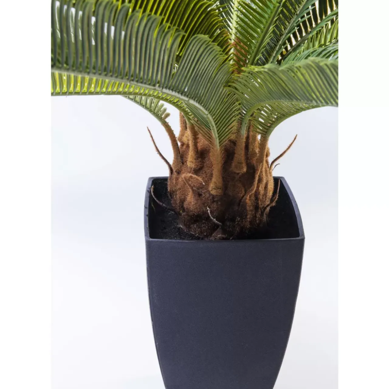 Deko & Geschenkartikel|KARE Design Deko Pflanze Cycas Tree 78Cm