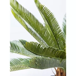 Deko & Geschenkartikel|KARE Design Deko Pflanze Cycas Tree 78Cm