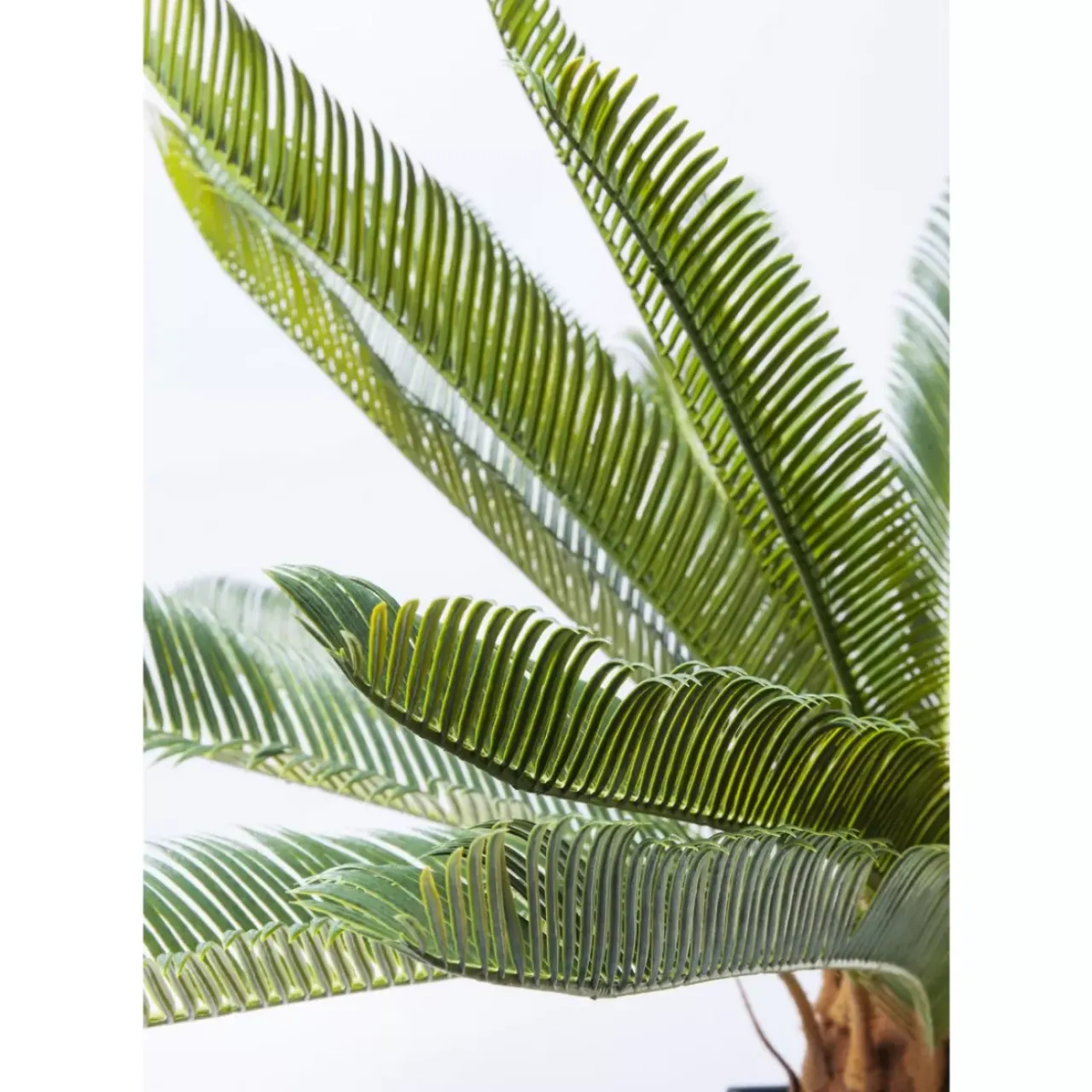 Deko & Geschenkartikel|KARE Design Deko Pflanze Cycas Tree 78Cm