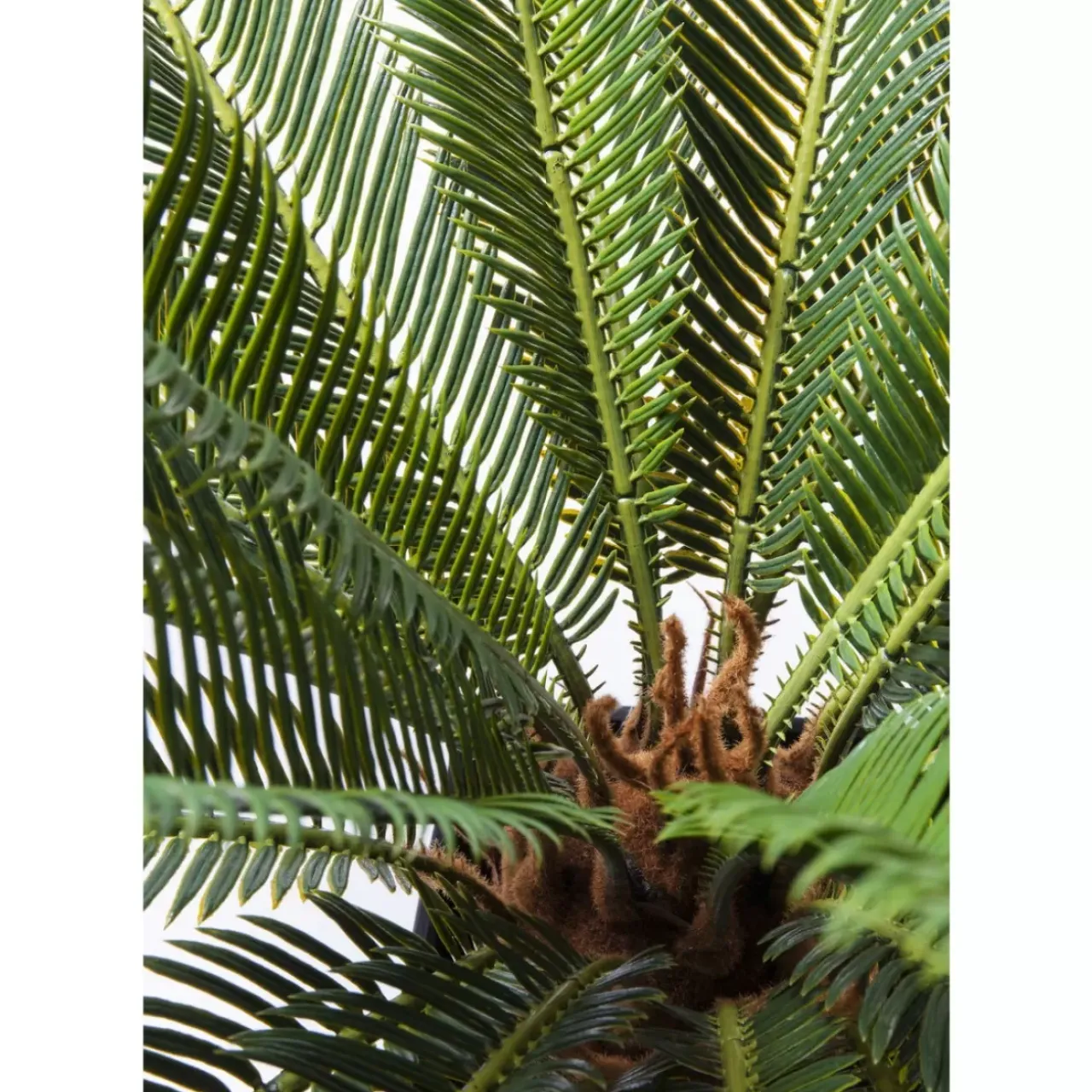 Deko & Geschenkartikel|KARE Design Deko Pflanze Cycas Tree 78Cm