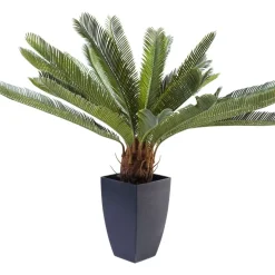 Deko & Geschenkartikel|KARE Design Deko Pflanze Cycas Tree 78Cm