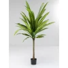 Deko & Geschenkartikel|KARE Design Deko Pflanze Dracaena Fragrans 180Cm