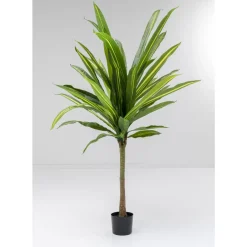 Deko & Geschenkartikel|KARE Design Deko Pflanze Dracaena Fragrans 180Cm