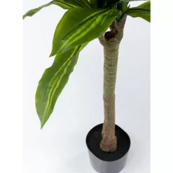Deko & Geschenkartikel|KARE Design Deko Pflanze Dracaena Fragrans 180Cm