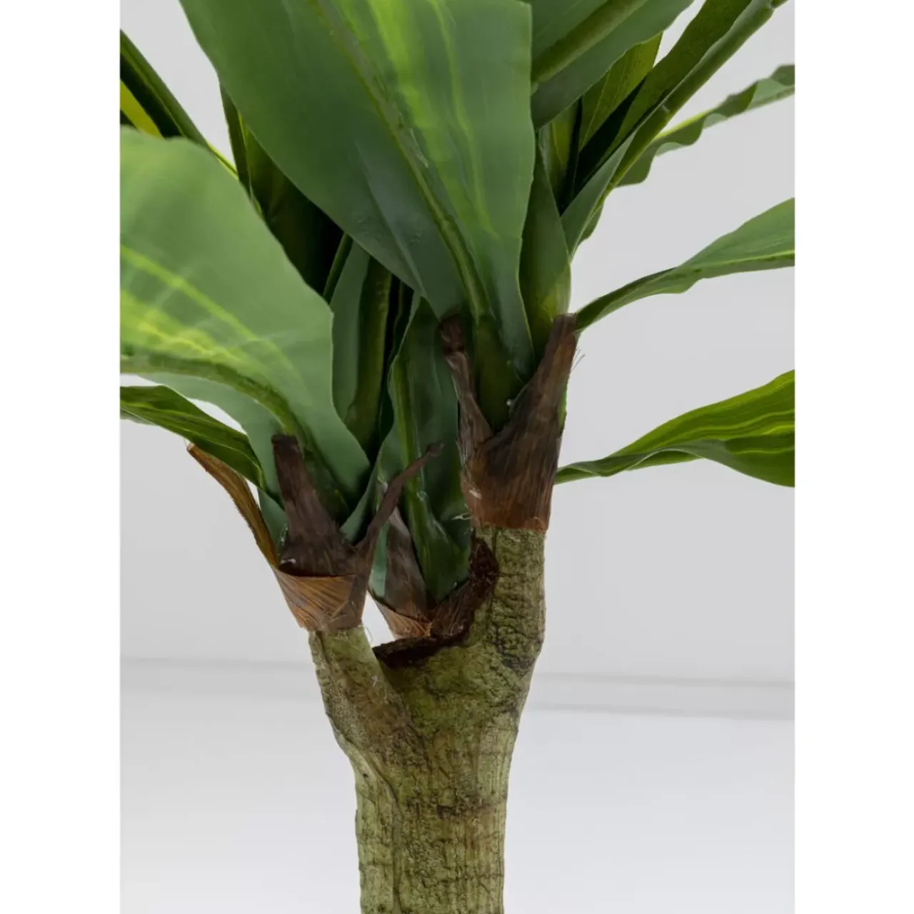 Deko & Geschenkartikel|KARE Design Deko Pflanze Dracaena Fragrans 180Cm