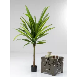 Deko & Geschenkartikel|KARE Design Deko Pflanze Dracaena Fragrans 180Cm
