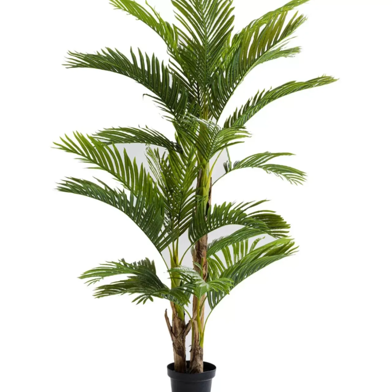 Deko & Geschenkartikel|KARE Design Deko Pflanze Palm Tree 190
