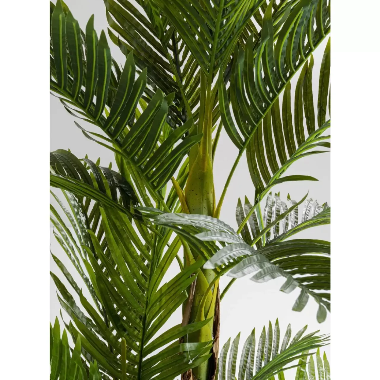 Deko & Geschenkartikel|KARE Design Deko Pflanze Palm Tree 190