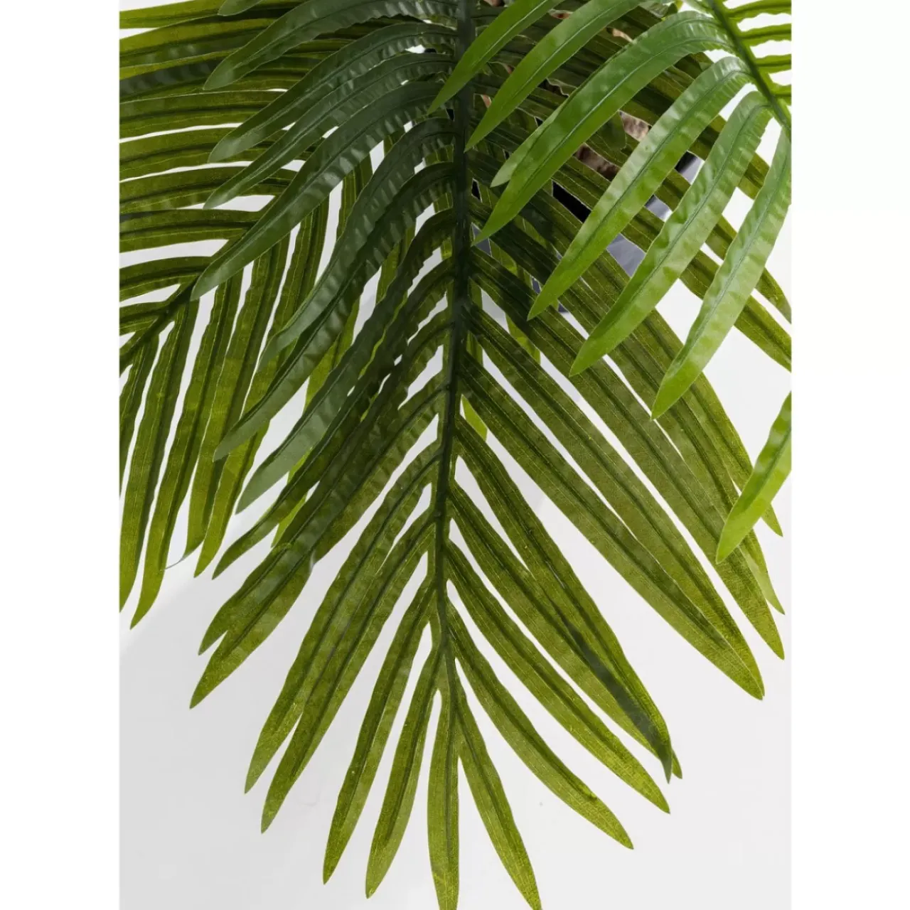 Deko & Geschenkartikel|KARE Design Deko Pflanze Palm Tree 190