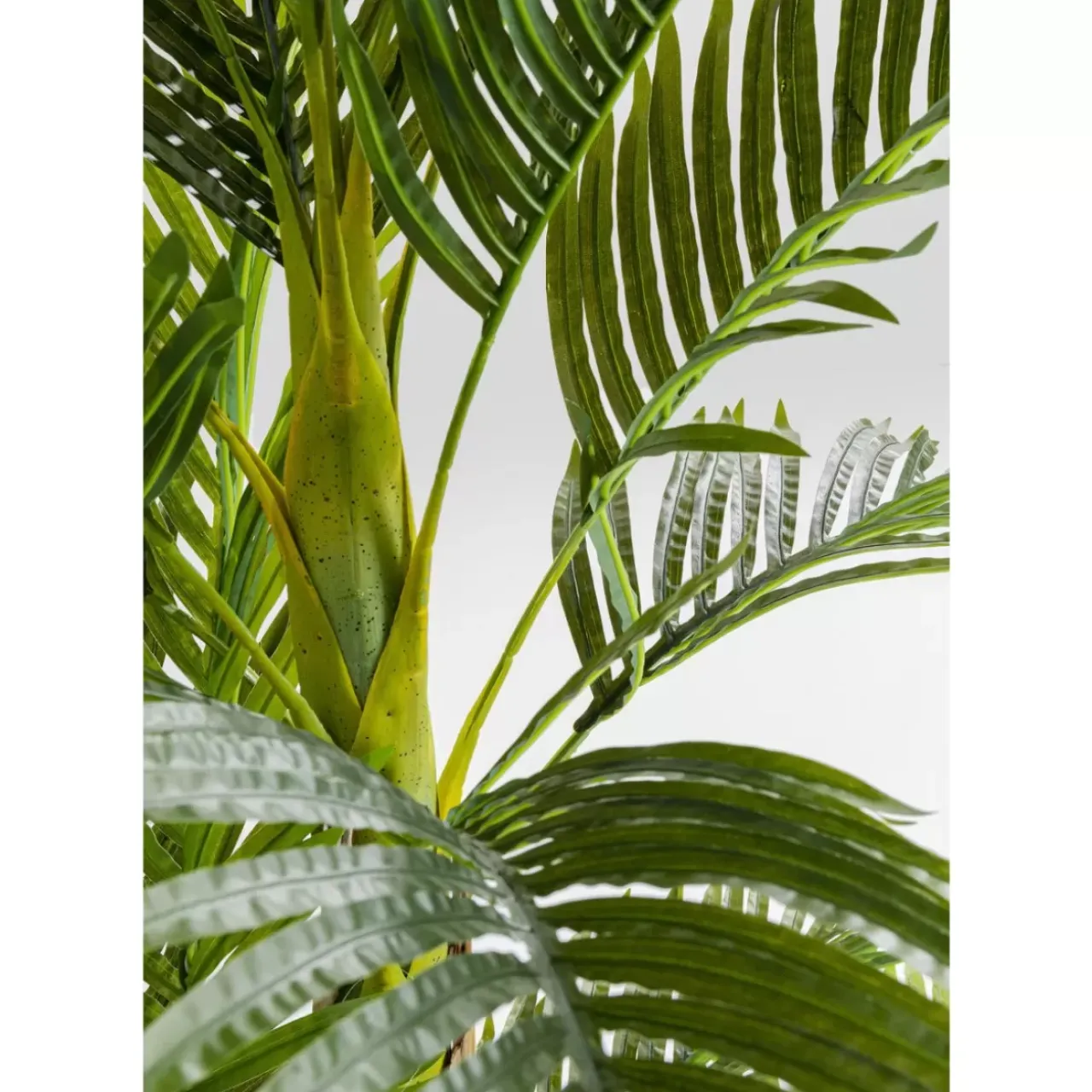 Deko & Geschenkartikel|KARE Design Deko Pflanze Palm Tree 190