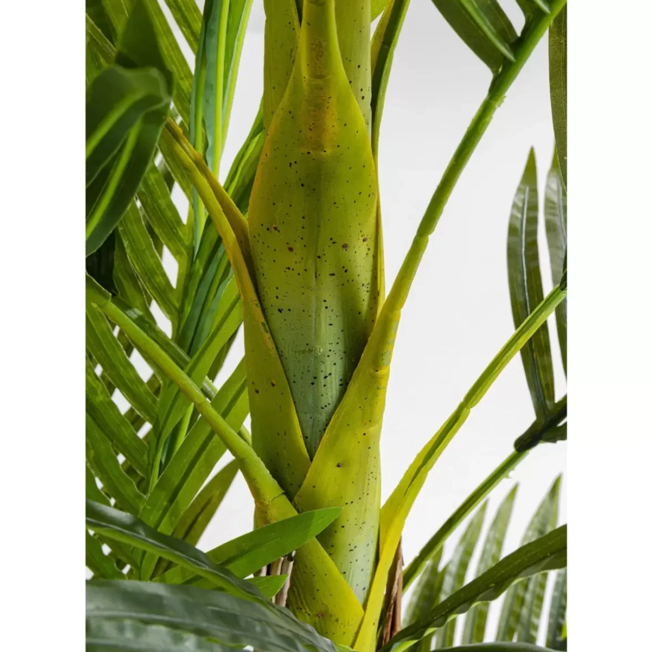 Deko & Geschenkartikel|KARE Design Deko Pflanze Palm Tree 190