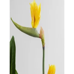 Deko & Geschenkartikel|KARE Design Deko Pflanze Paradise Flowers 190