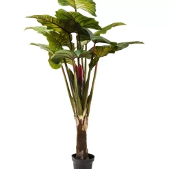 Deko & Geschenkartikel|KARE Design Deko Pflanze Rainforest Green 160Cm