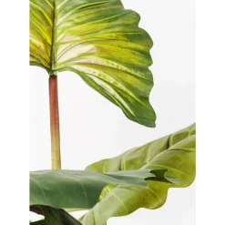 Deko & Geschenkartikel|KARE Design Deko Pflanze Rainforest Green 160Cm