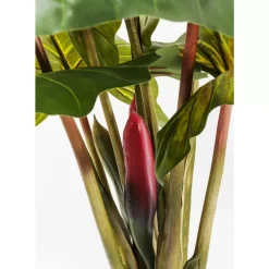 Deko & Geschenkartikel|KARE Design Deko Pflanze Rainforest Green 160Cm