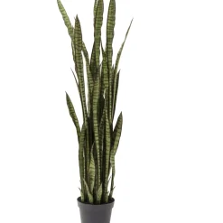 Deko & Geschenkartikel|KARE Design Deko Pflanze Sansewieria 155Cm