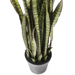 Deko & Geschenkartikel|KARE Design Deko Pflanze Sansewieria 155Cm
