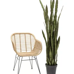 Deko & Geschenkartikel|KARE Design Deko Pflanze Sansewieria 155Cm