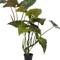 Deko & Geschenkartikel|KARE Design Deko Pflanze Taro 180