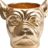 Aufbewahrung & Ordnung|KARE Design Deko Ubertopf Bulldog Gold