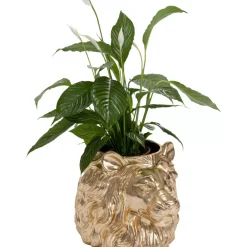 Aufbewahrung & Ordnung|KARE Design Deko Ubertopf Lion Gold