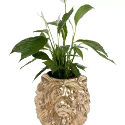 Aufbewahrung & Ordnung|KARE Design Deko Ubertopf Lion Gold
