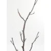 Kleinmöbel & Sonstiges|KARE Design Garderobenstander Tree Branch 183Cm