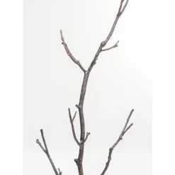 Kleinmöbel & Sonstiges|KARE Design Garderobenstander Tree Branch 183Cm