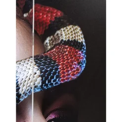 Paravents|KARE Design Paravent Royal Headdress Vs Snake Girl 120X180Cm