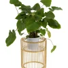 Aufbewahrung & Ordnung|KARE Design Pflanzenstander Wire Gold 44Cm