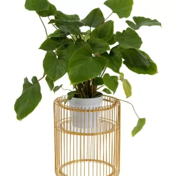 Aufbewahrung & Ordnung|KARE Design Pflanzenstander Wire Gold 44Cm