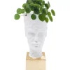 Aufbewahrung & Ordnung|KARE Design Pflanztopf Jeffrey 80Cm