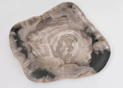 Geschirr & Tischaccessoires|KARE Design Platte Drakenhart Versteinertes Holz